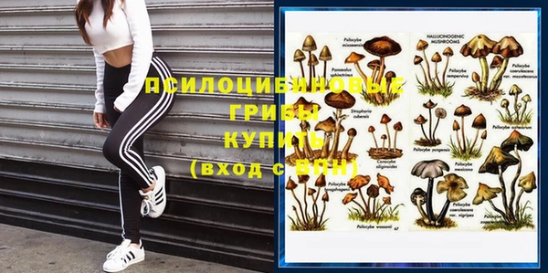 стаф Абдулино
