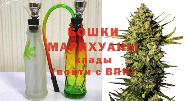 PSILOCYBIN Абаза