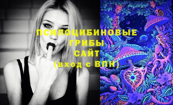 стаф Абдулино