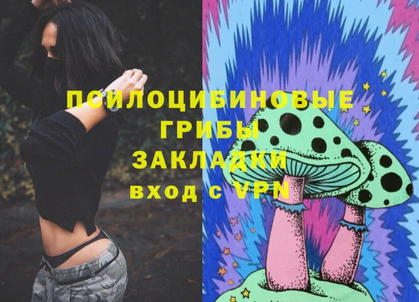 PSILOCYBIN Абаза