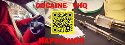 сатива Славгород