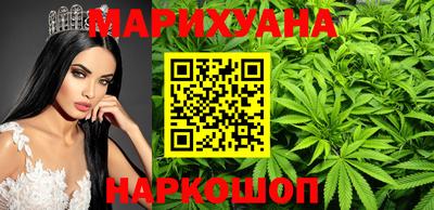 сатива Славгород