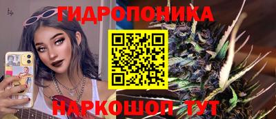 сатива Славгород
