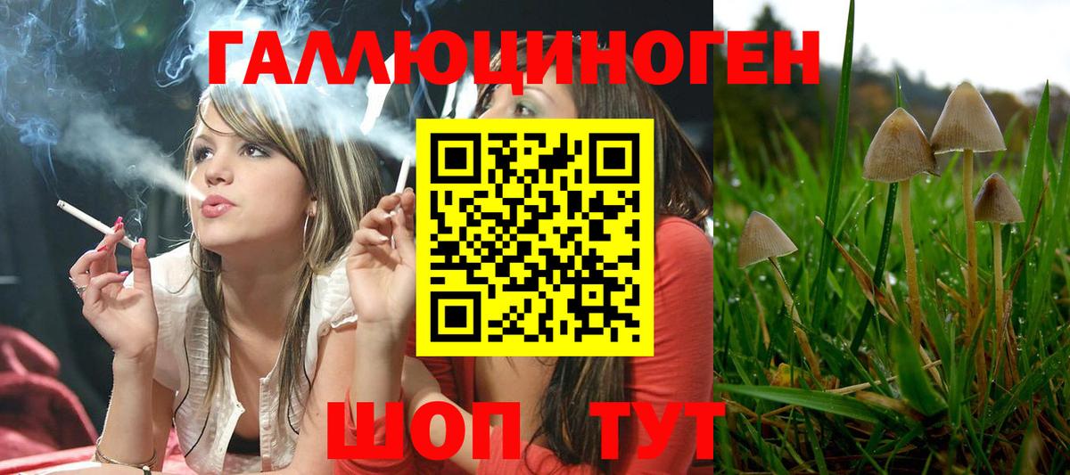 Псилоцибиновые грибы прущие грибы Сызрань