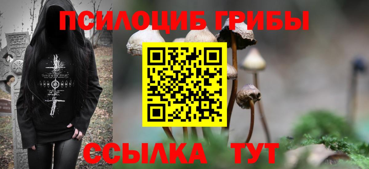 Сызрань  Псилоцибиновые грибы Magic Shrooms  Вход с VPN  Галлюциногенные грибы GOLDEN TEACHER 