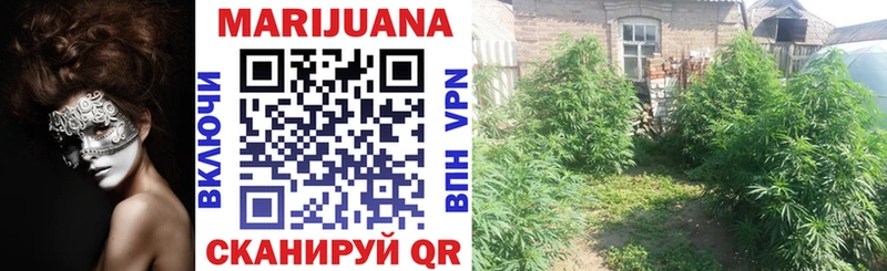 хочу наркоту  Сызрань  Бошки марихуана Bruce Banner 